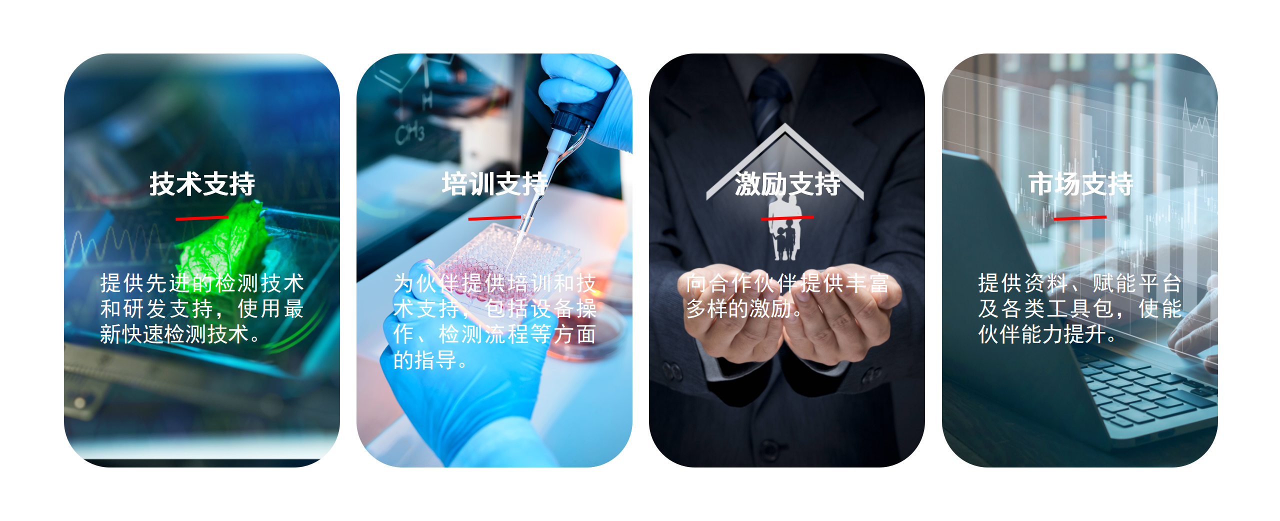 合作同伴_01.png